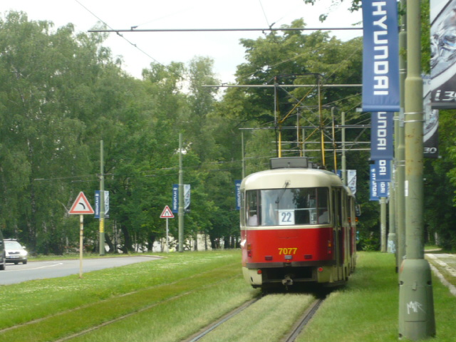 P1100486.JPG