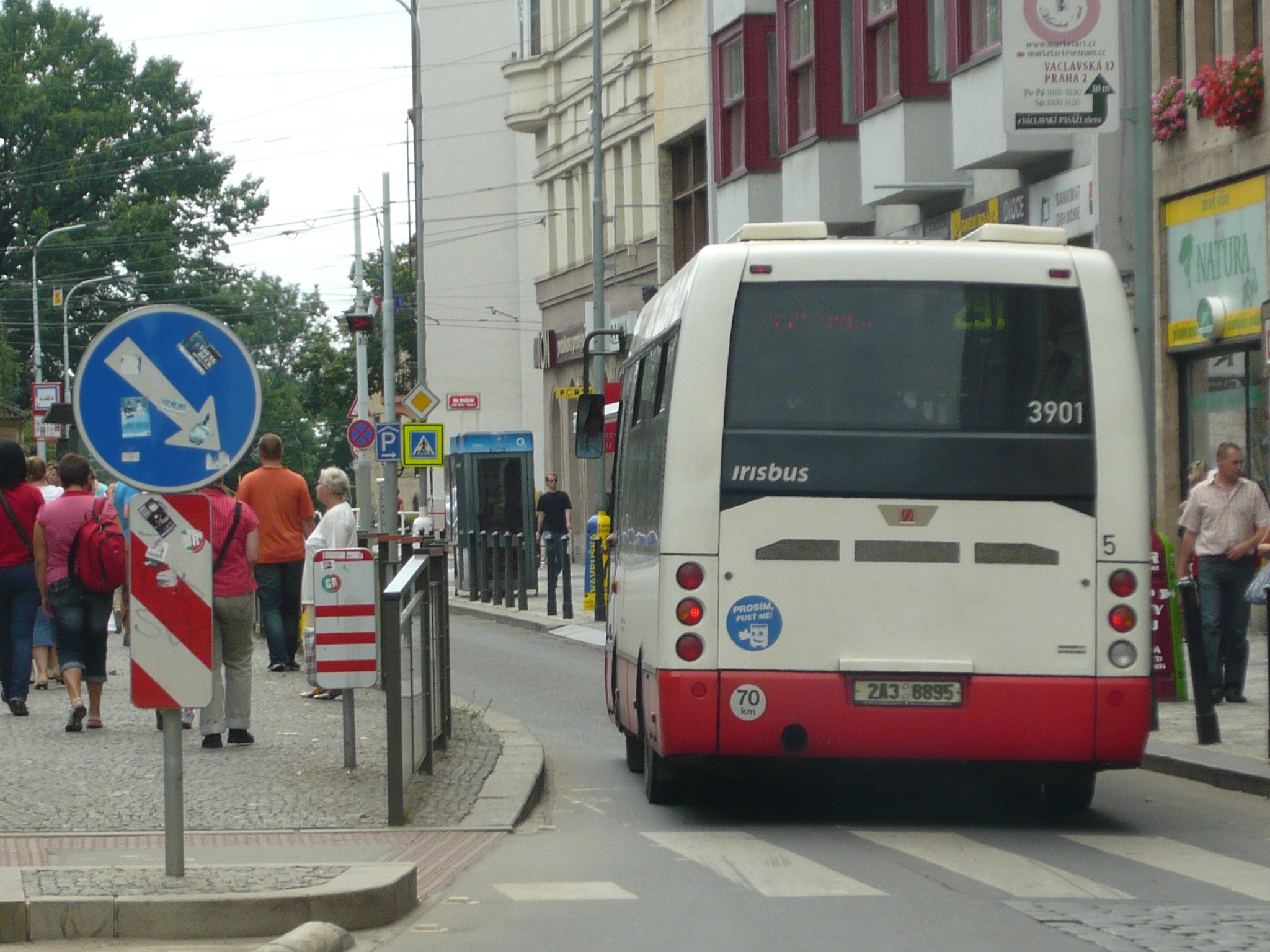 P1100311.JPG