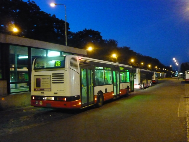 P1100389.JPG